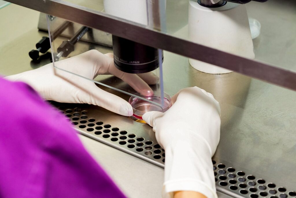 Navigating the IVF Journey-From Consultation to Embryo Transfer