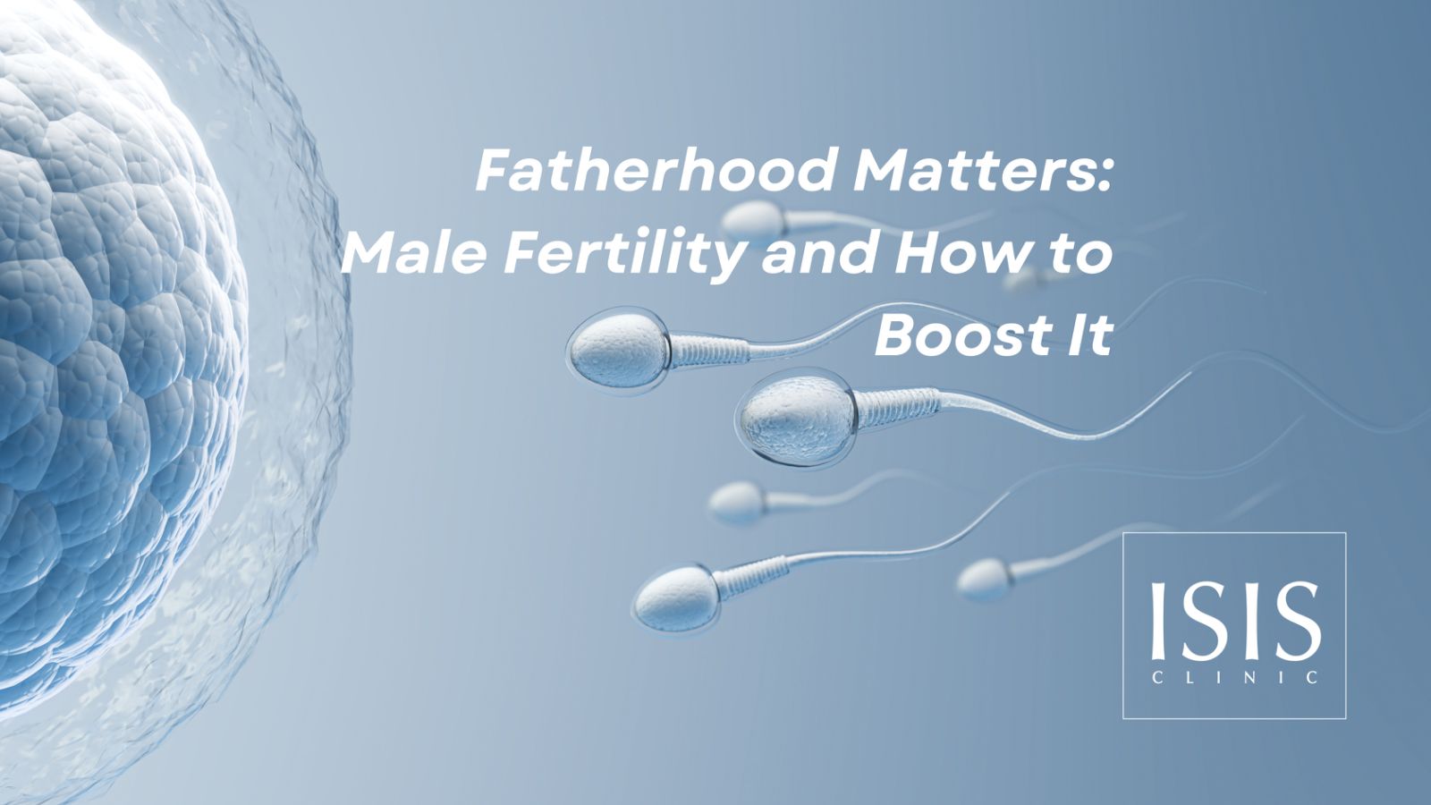Fatherhood Matters Male Fertility and How to Boost It